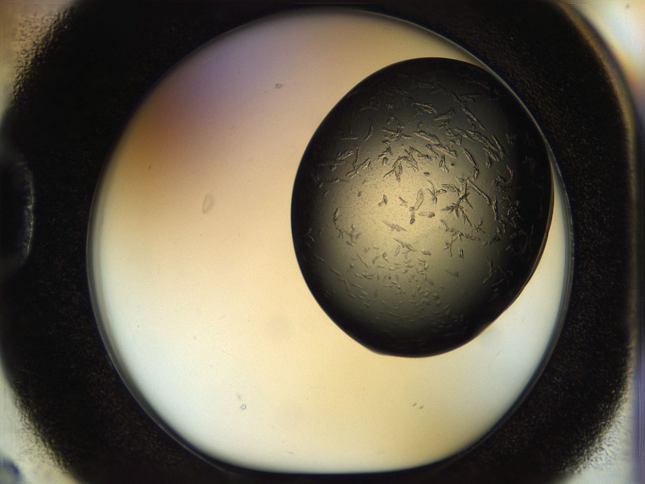053p_D2_ImagerDefaults_7.jpg