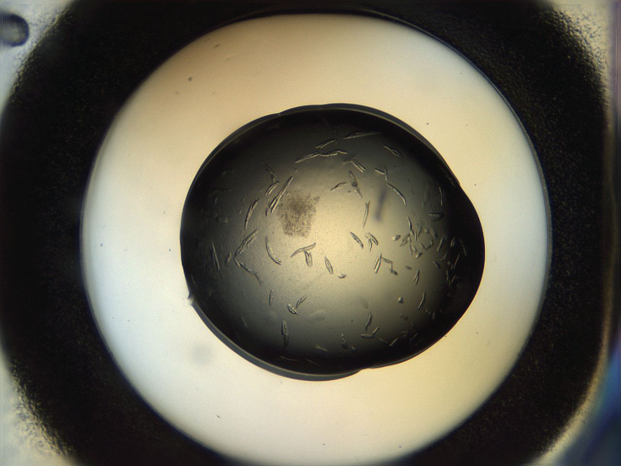 053p_D2_ImagerDefaults_8.jpg