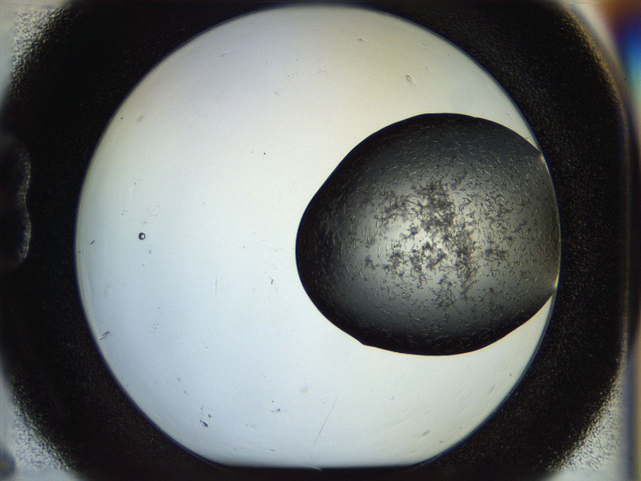 053p_B6_ImagerDefaults_7.jpg