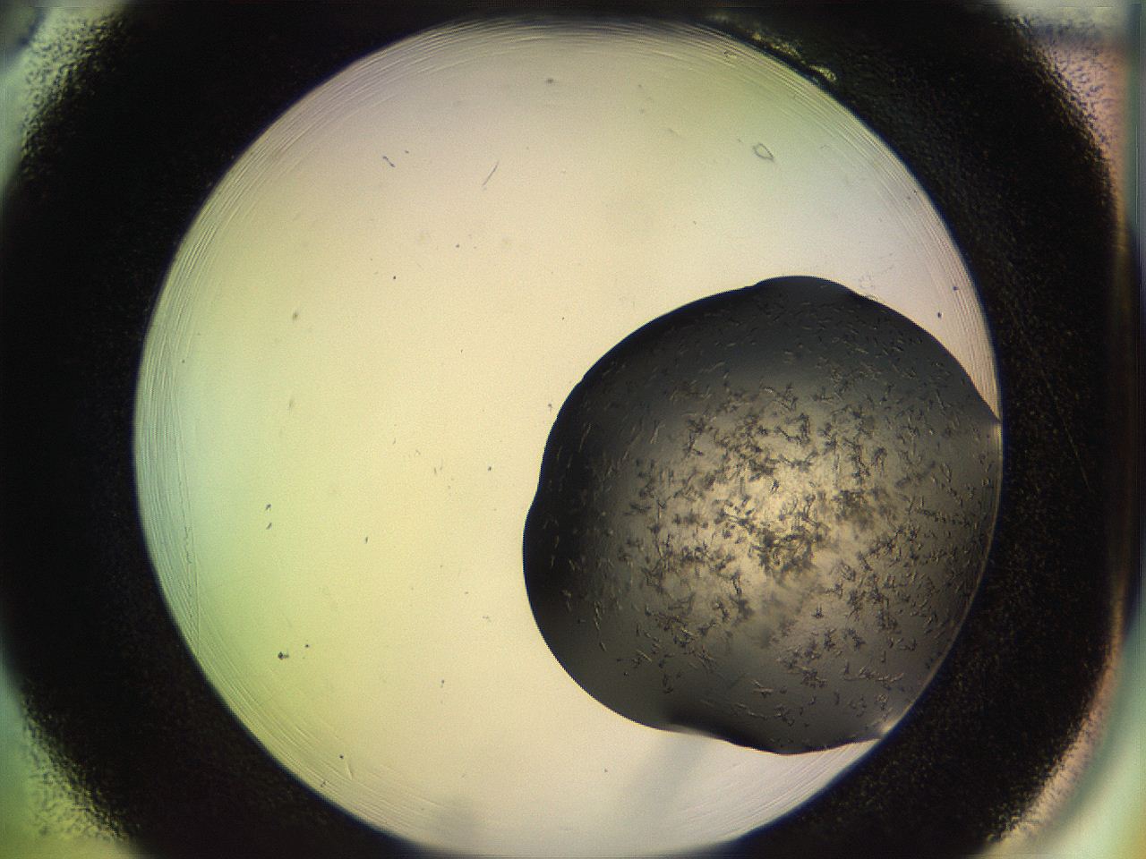 053p_B6_ImagerDefaults_6.jpg