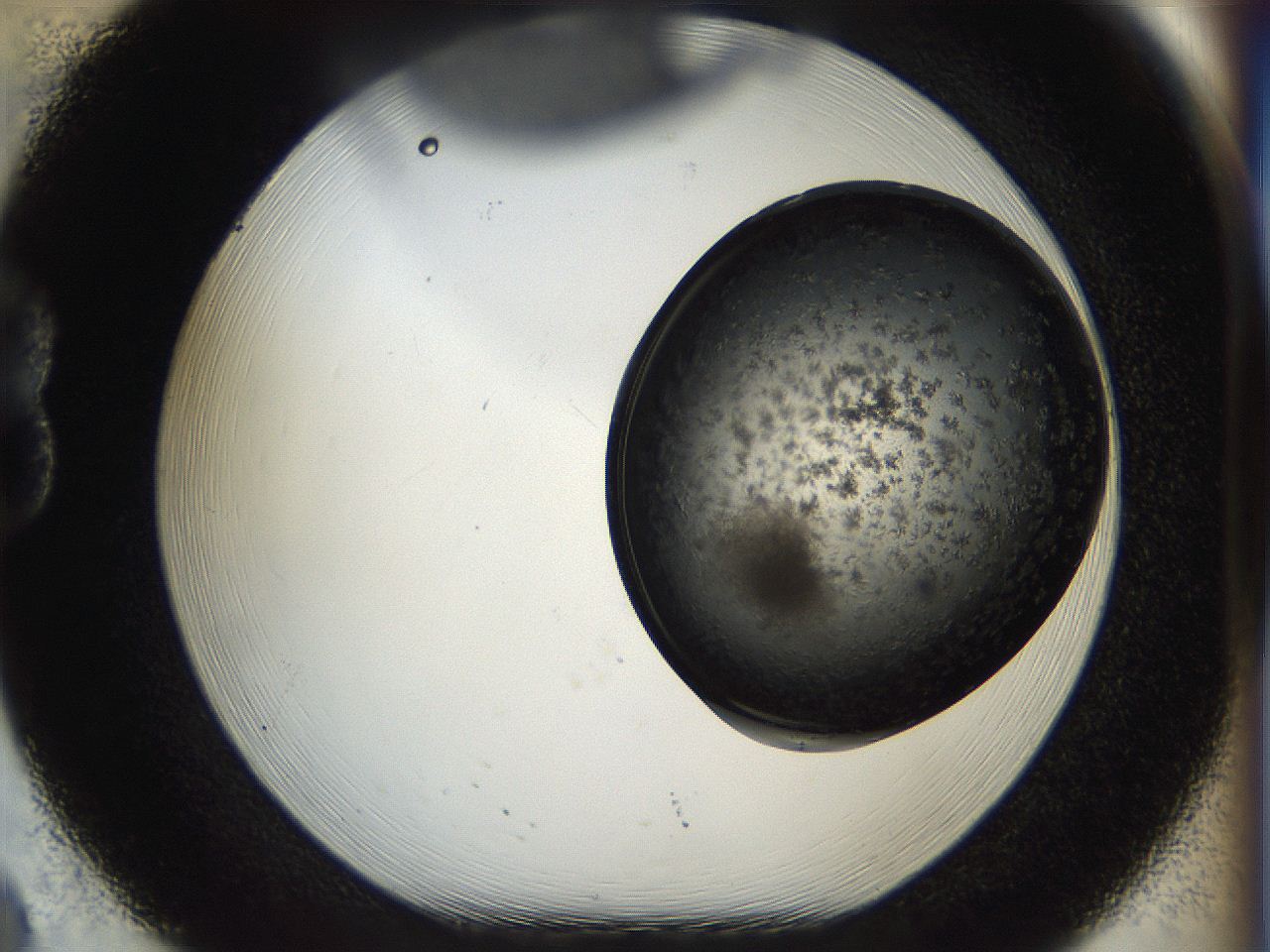 053p_B8_ImagerDefaults_6.jpg