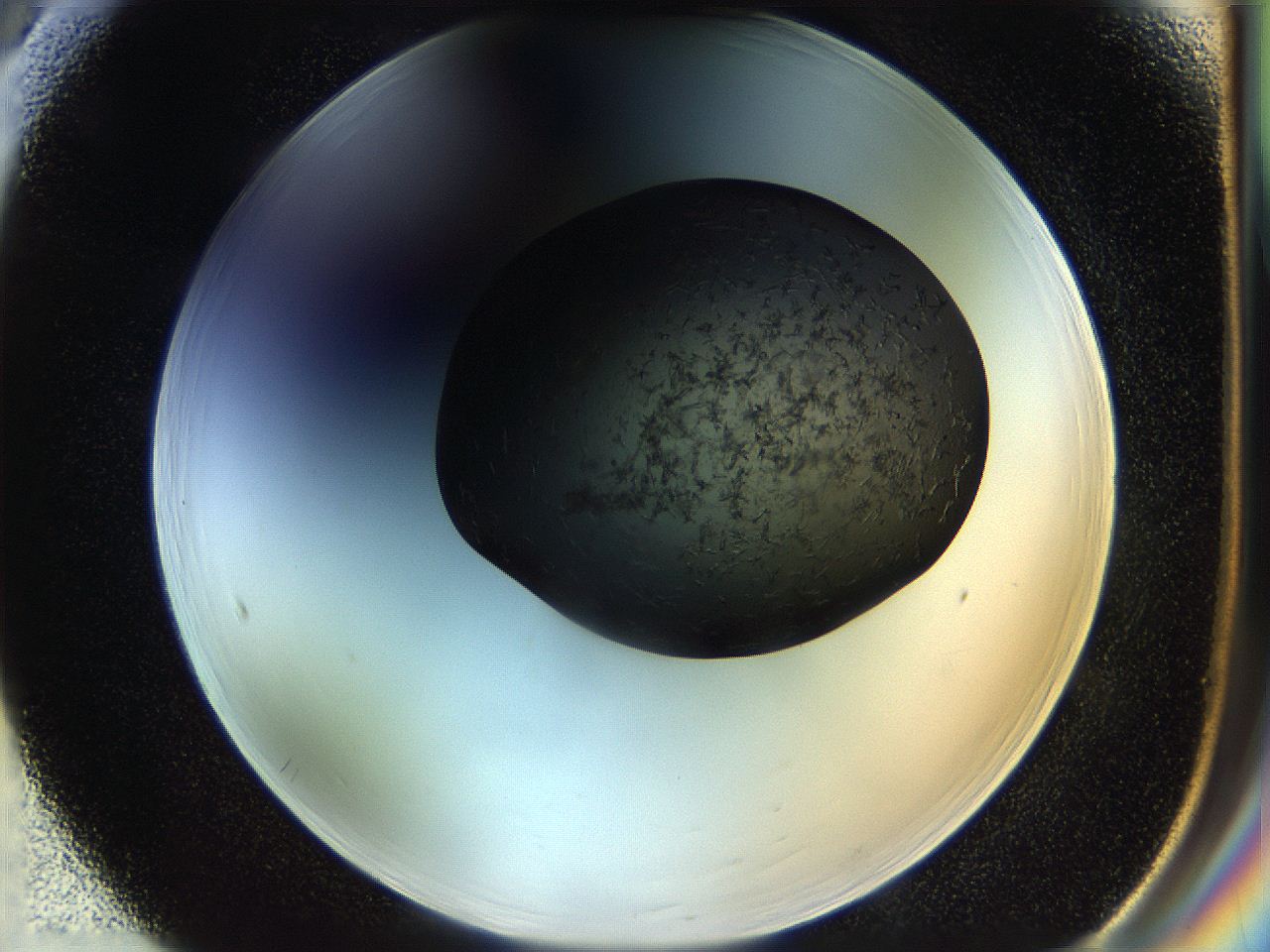 053p_F5_ImagerDefaults_7.jpg