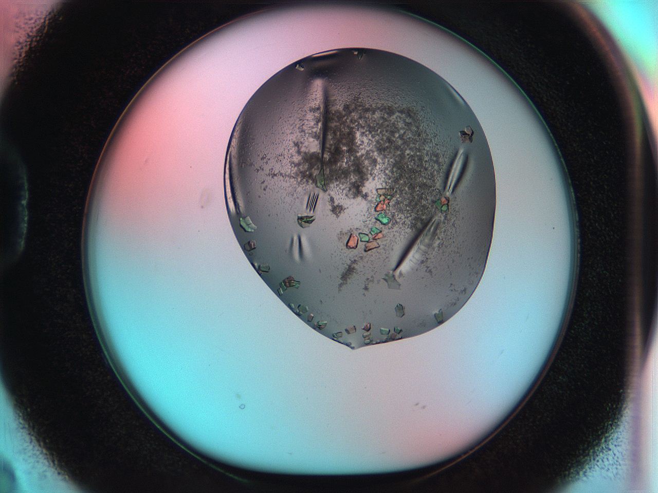 053w_D2_ImagerDefaults_8.jpg