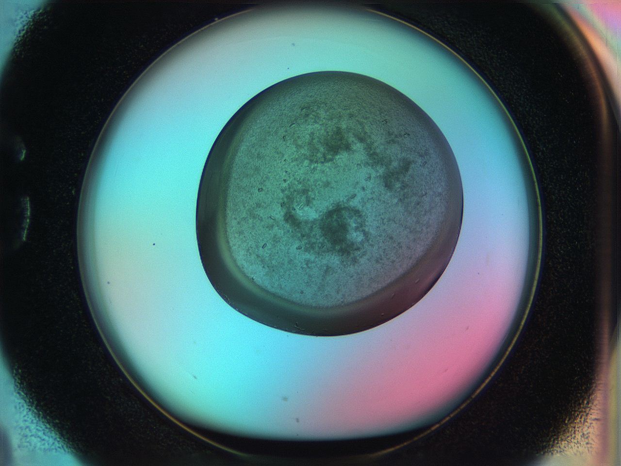 053w_G4_ImagerDefaults_8.jpg