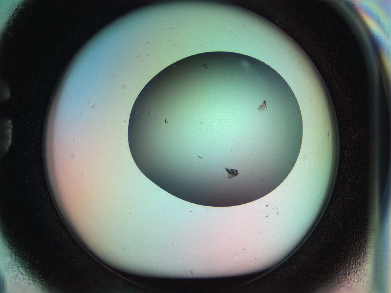 053w_G8_ImagerDefaults_6.jpg