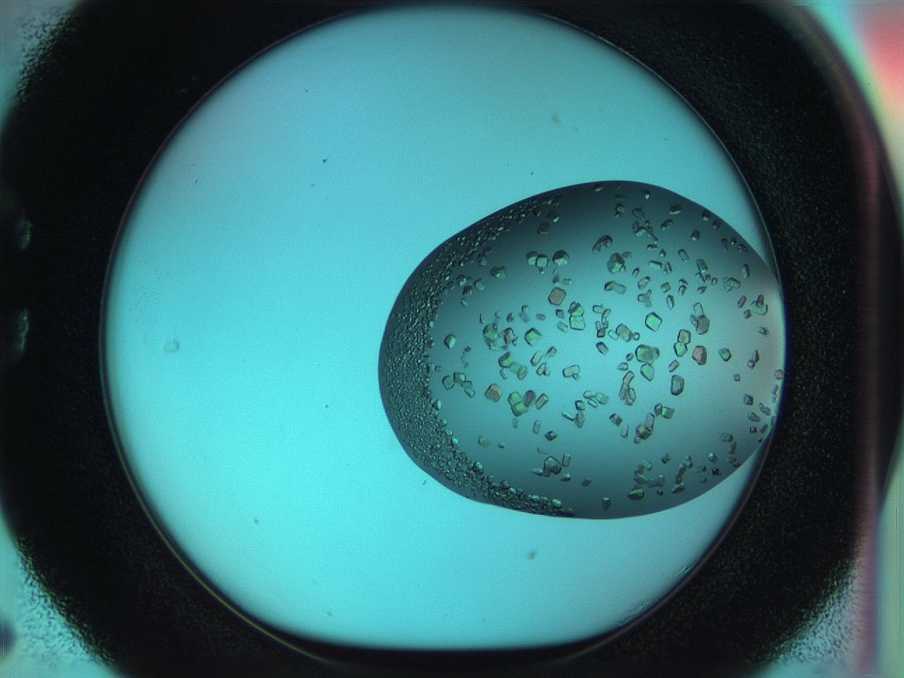 053x_C5_ImagerDefaults_9.jpg