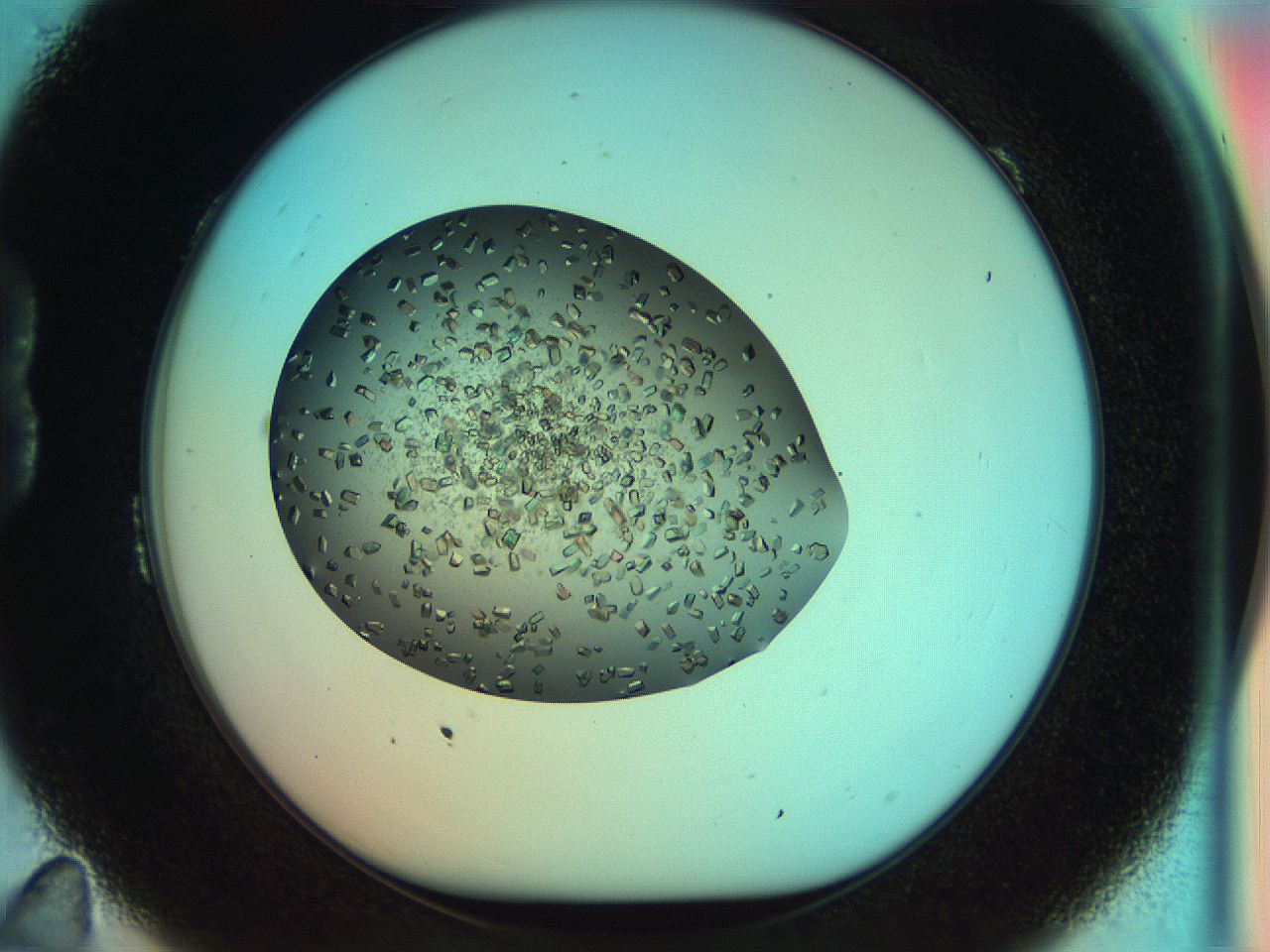 053x_B11_ImagerDefaults_8.jpg
