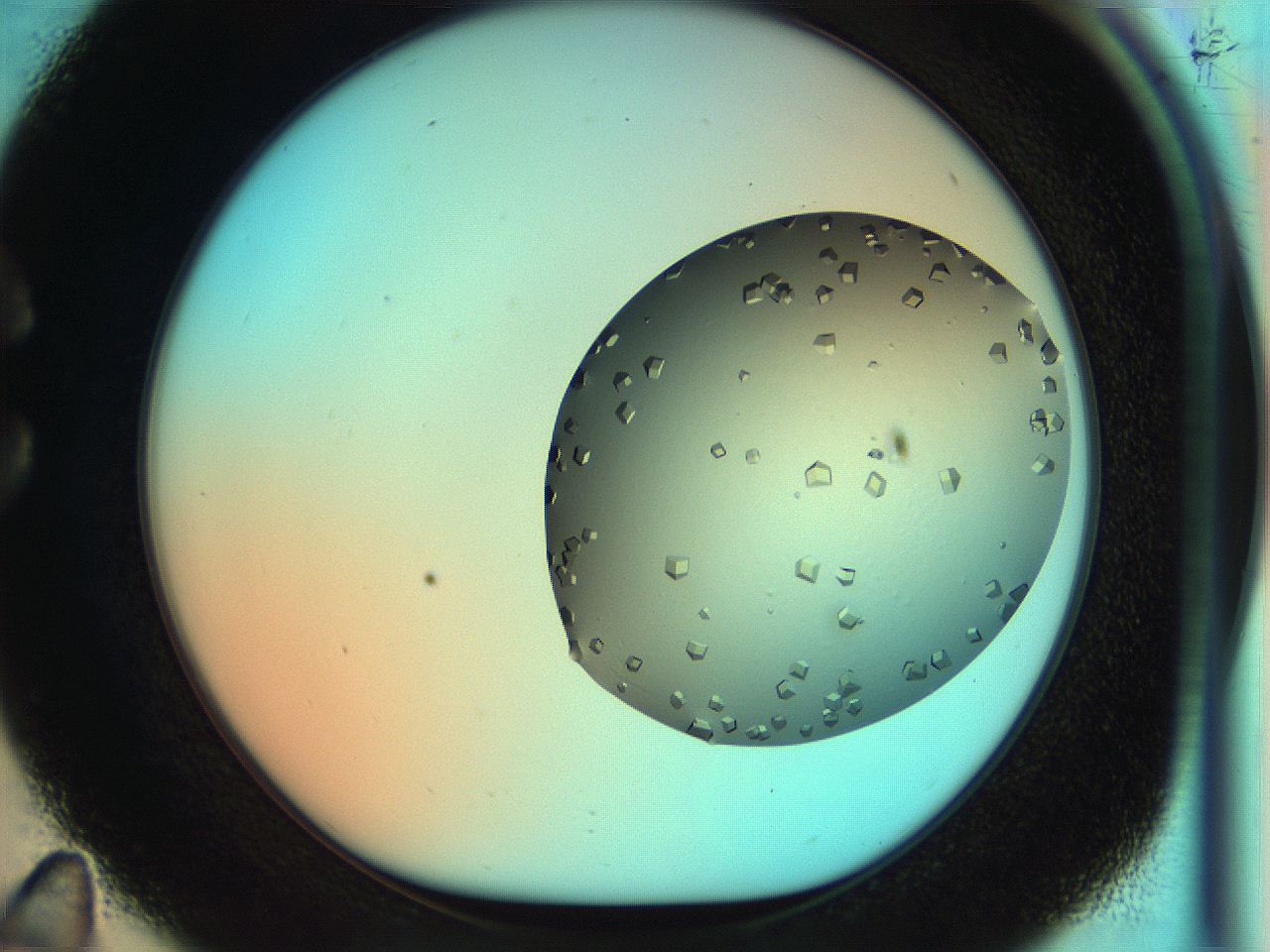 053y_C11_ImagerDefaults_9.jpg