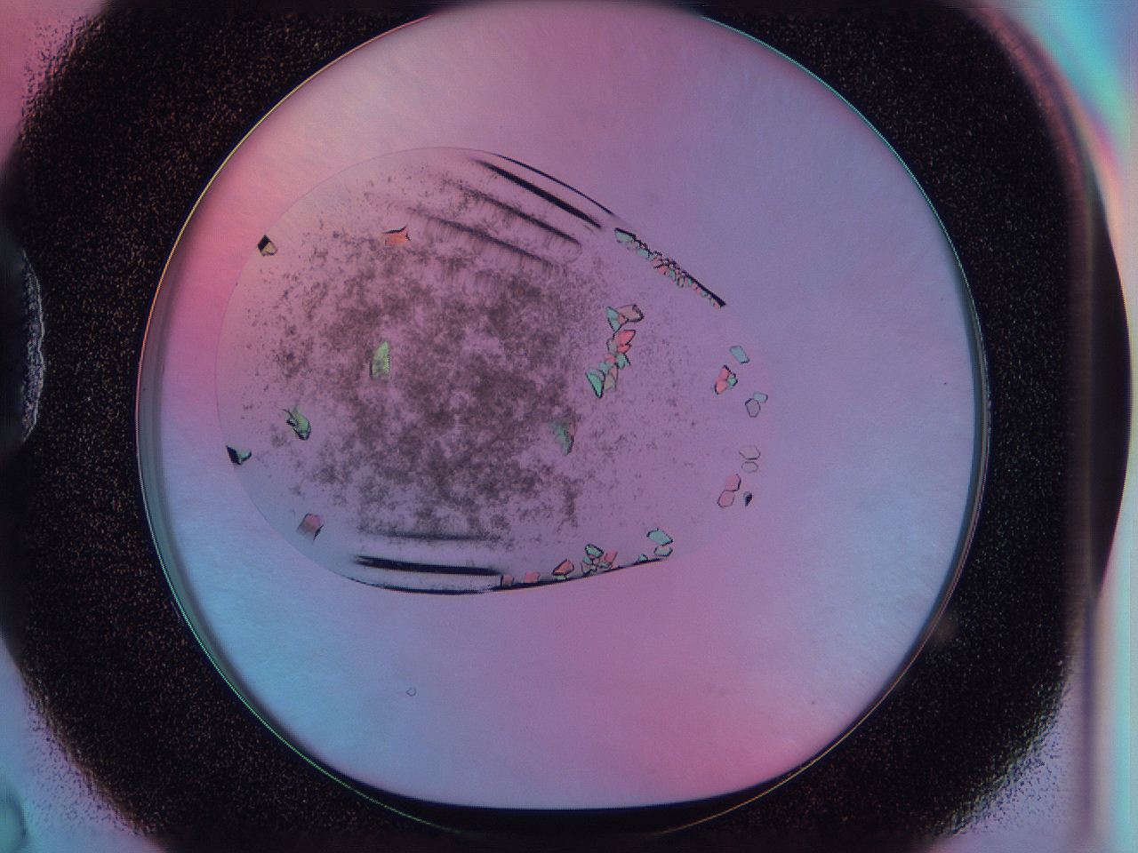 0541_D2_ImagerDefaults_8.jpg