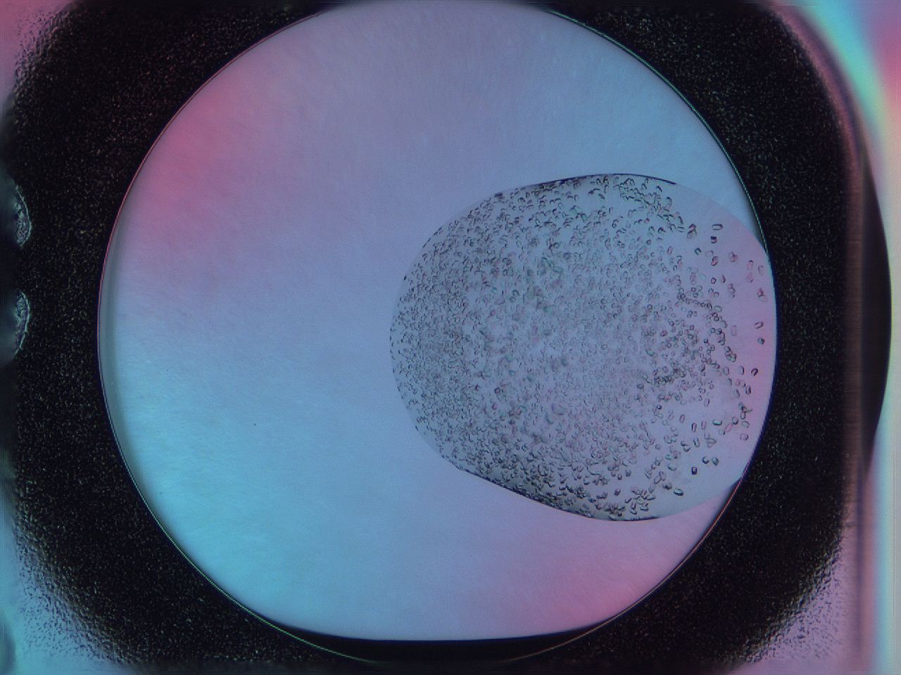 0542_C3_ImagerDefaults_8.jpg