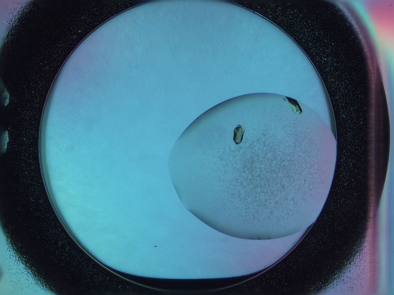 0542_C5_ImagerDefaults_8.jpg
