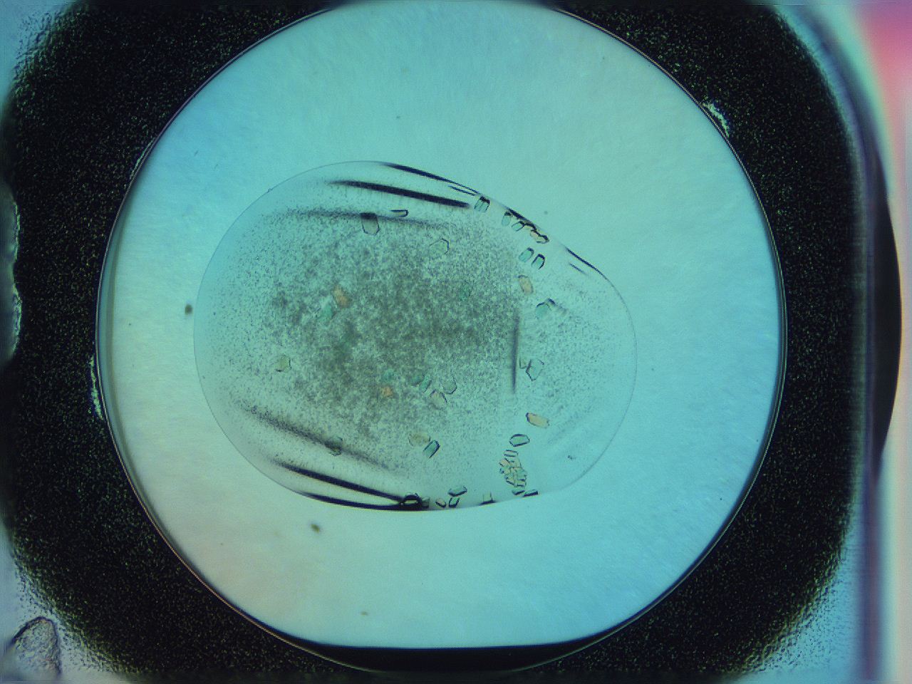 0542_B11_ImagerDefaults_9.jpg