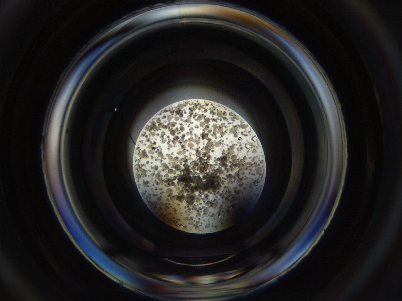 0546_B6_ImagerDefaults_9.jpg