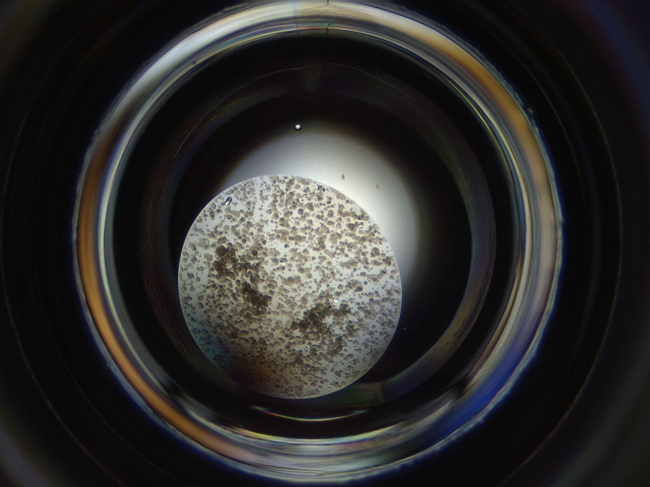 0546_A2_ImagerDefaults_9.jpg
