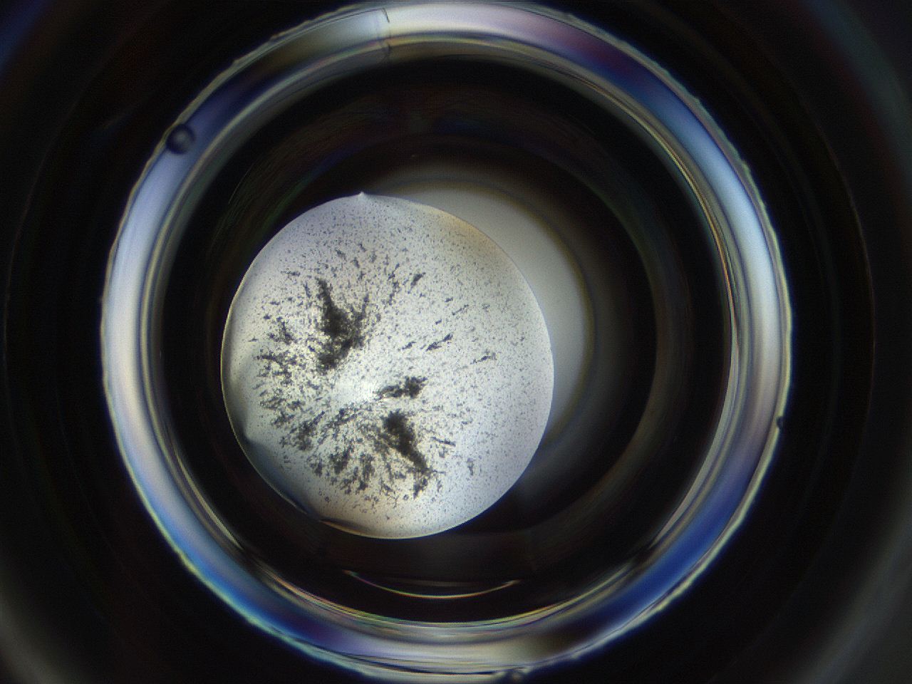 0546_A3_ImagerDefaults_3.jpg