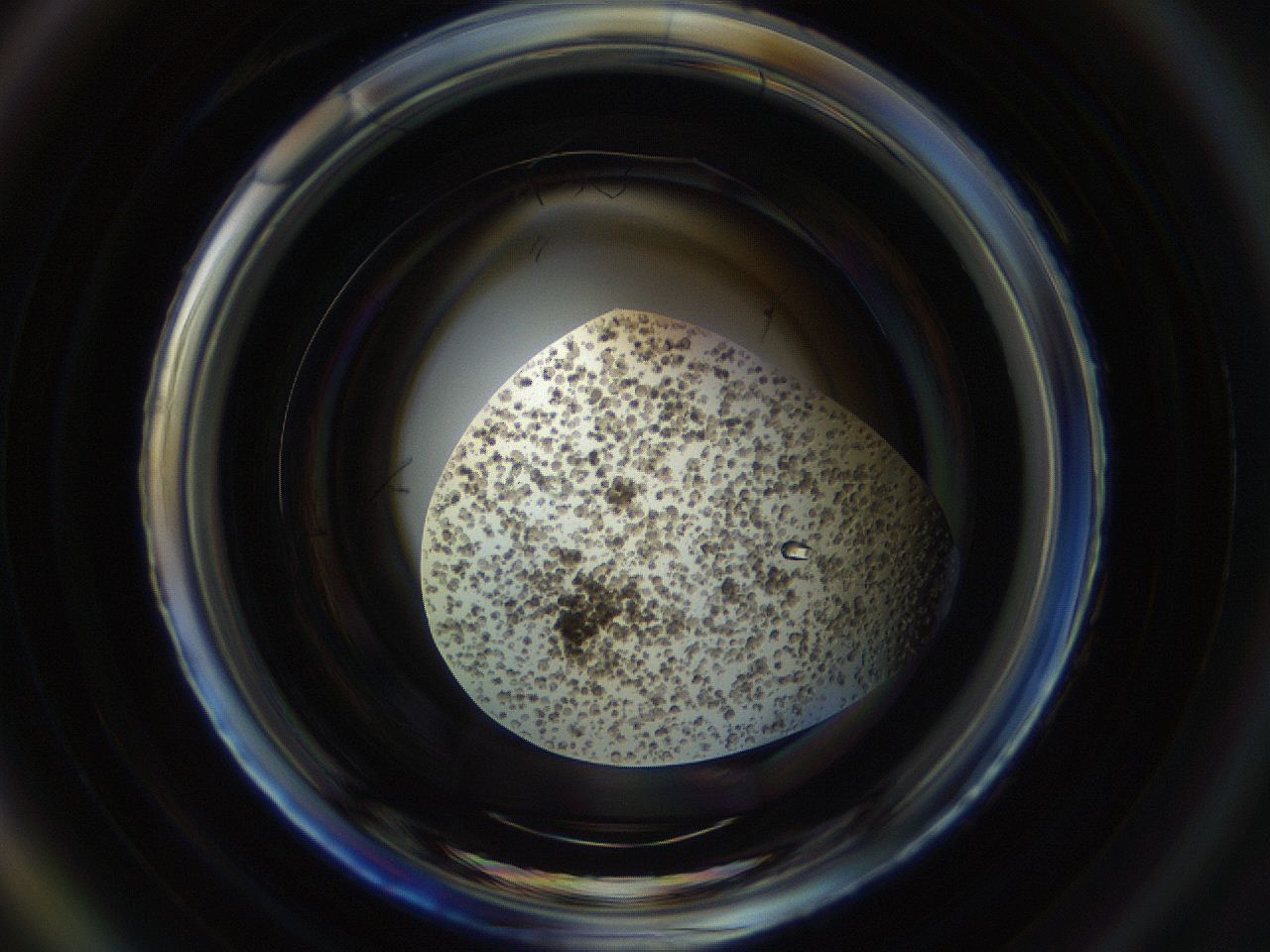 0546_A5_ImagerDefaults_9.jpg