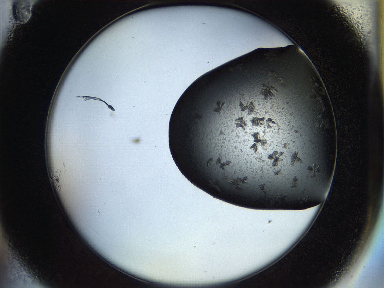 054a_A11_ImagerDefaults_7.jpg