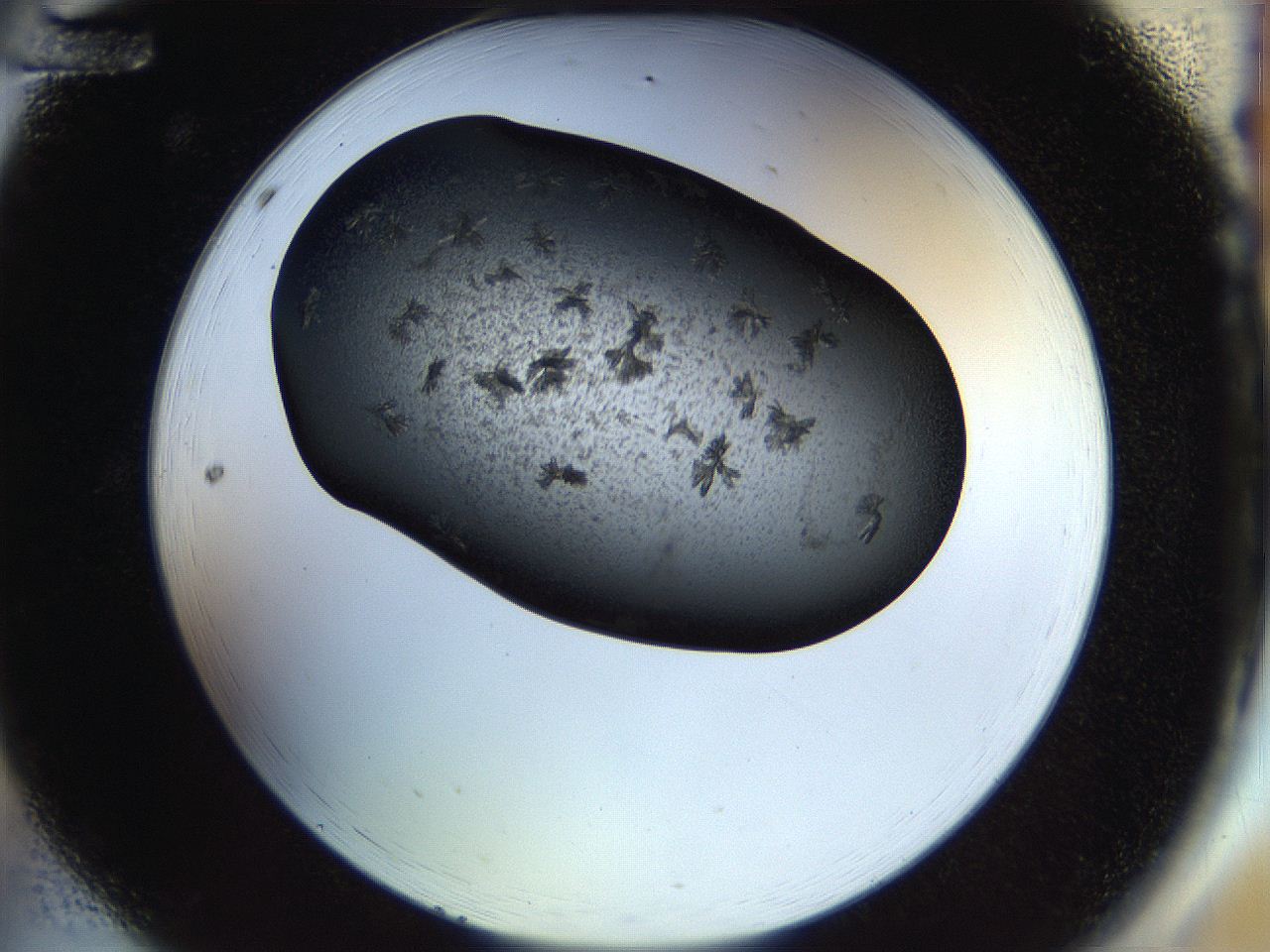 054a_A12_ImagerDefaults_7.jpg