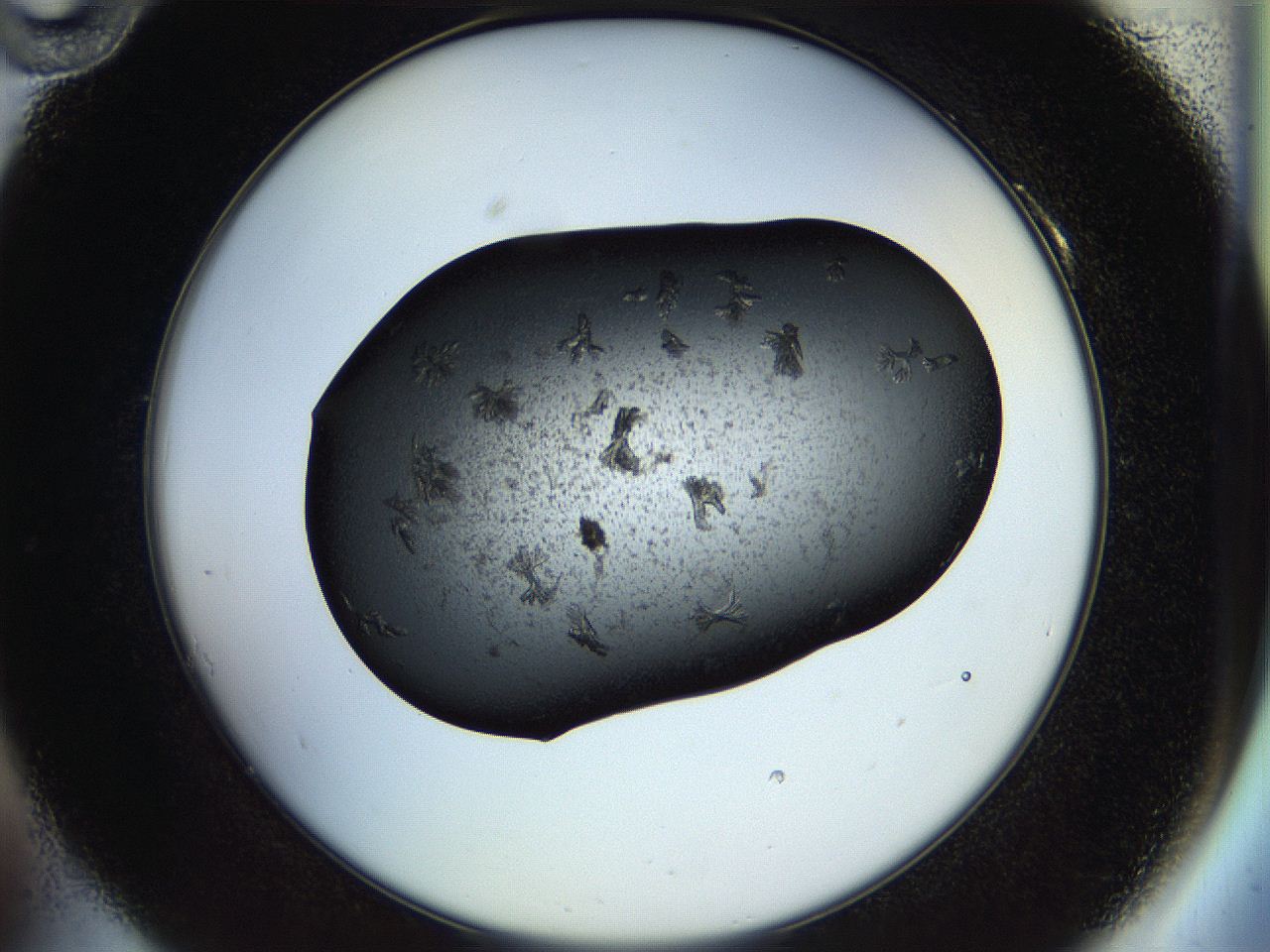 054a_A10_ImagerDefaults_7.jpg