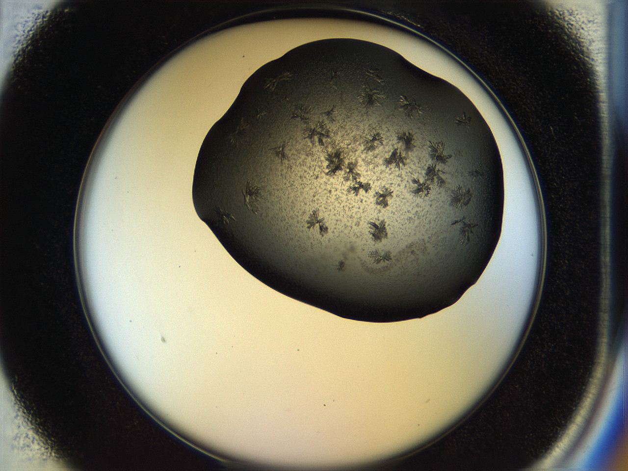 054a_B1_ImagerDefaults_7.jpg