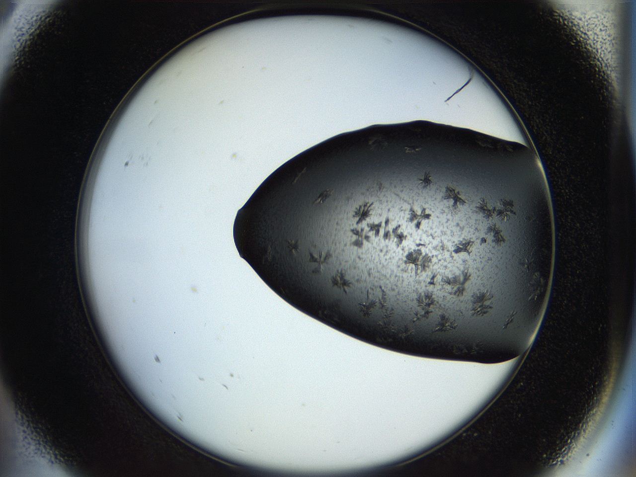 054a_A9_ImagerDefaults_8.jpg