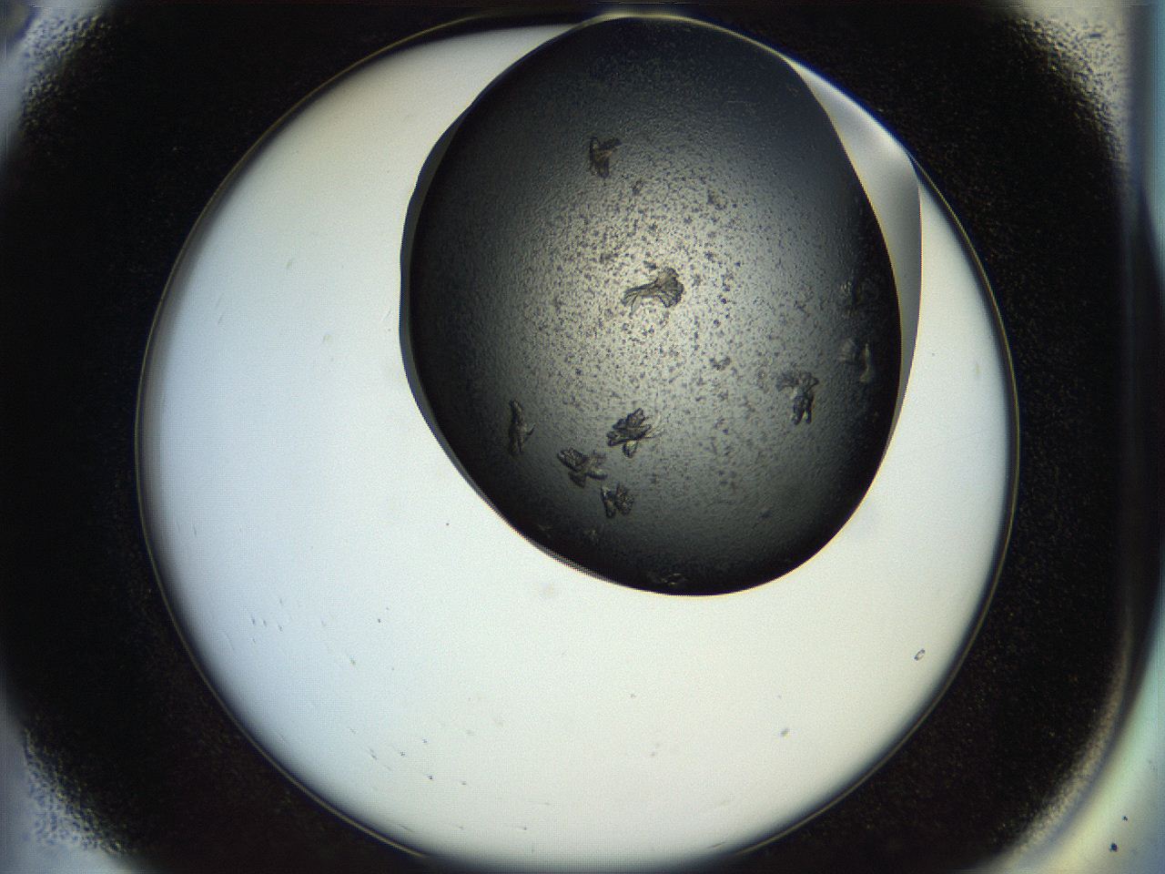 054a_A8_ImagerDefaults_8.jpg
