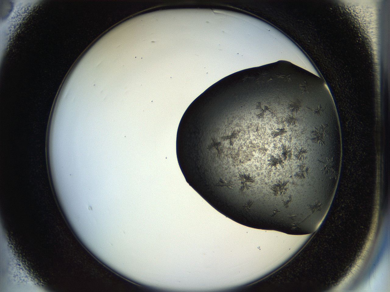 054a_B3_ImagerDefaults_7.jpg