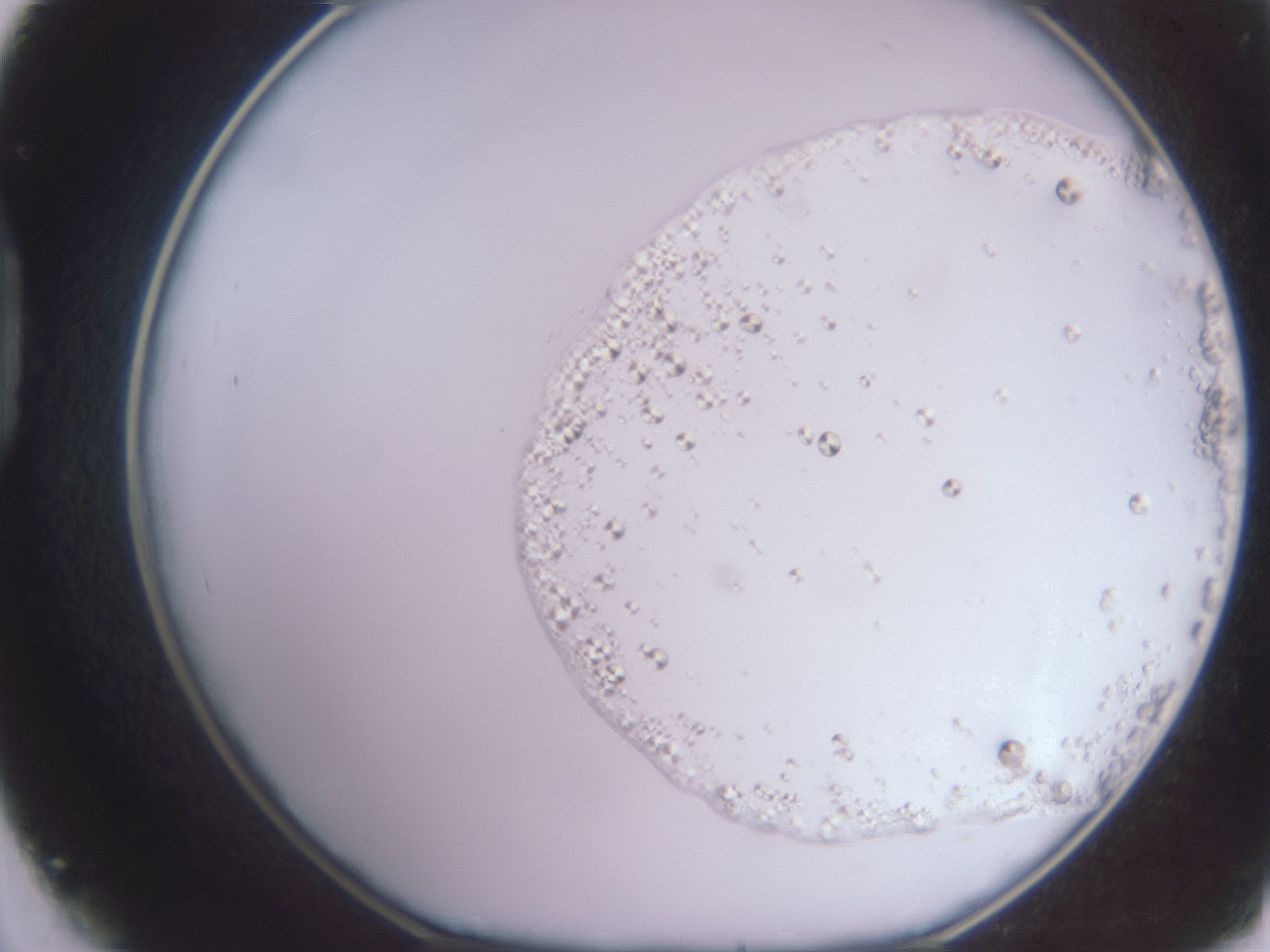 folderID16_plateID3016_batchID16697_wellNum45_profileID1_d1_r251419_ef.jpg