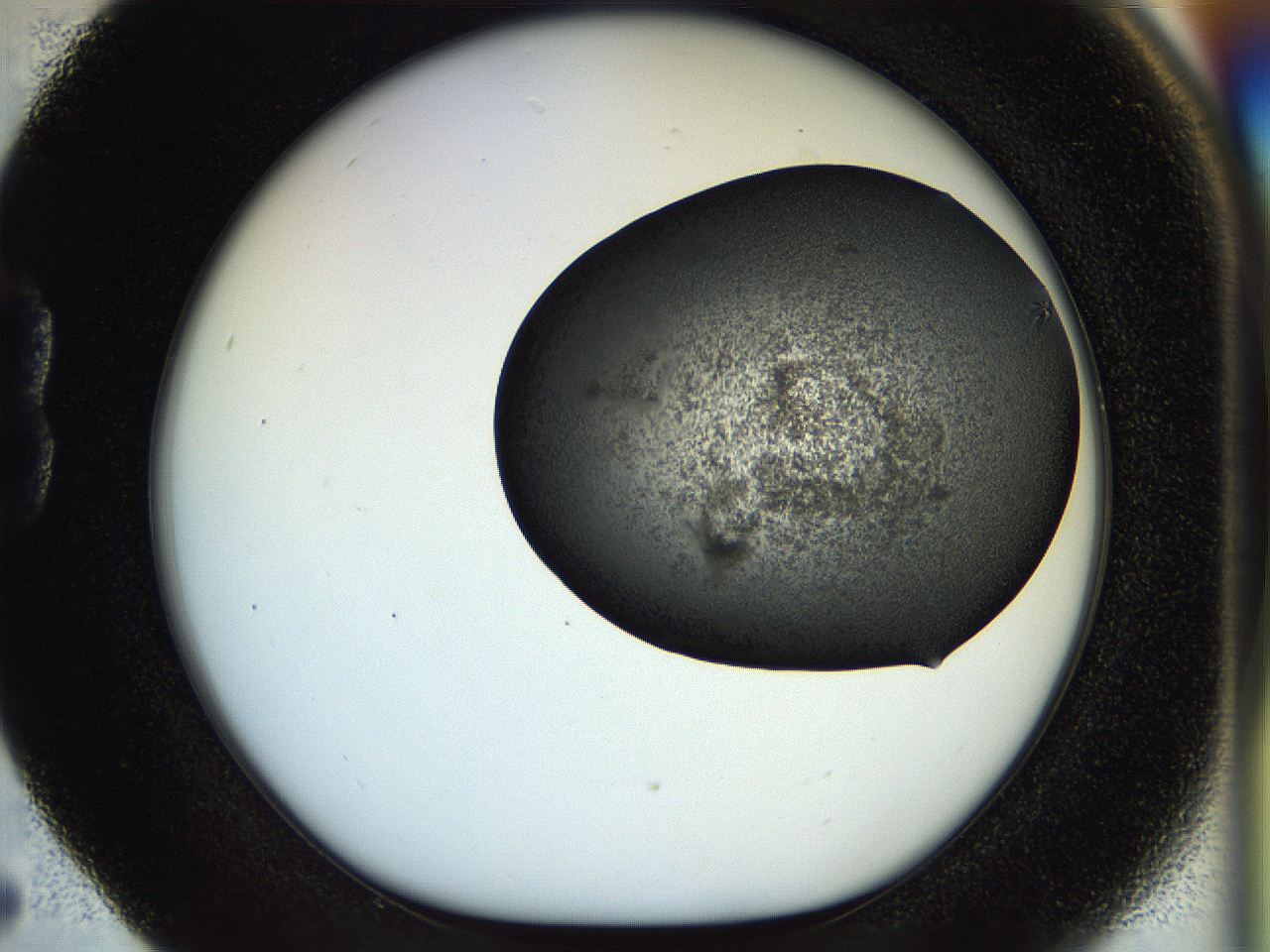 054a_B5_ImagerDefaults_7.jpg