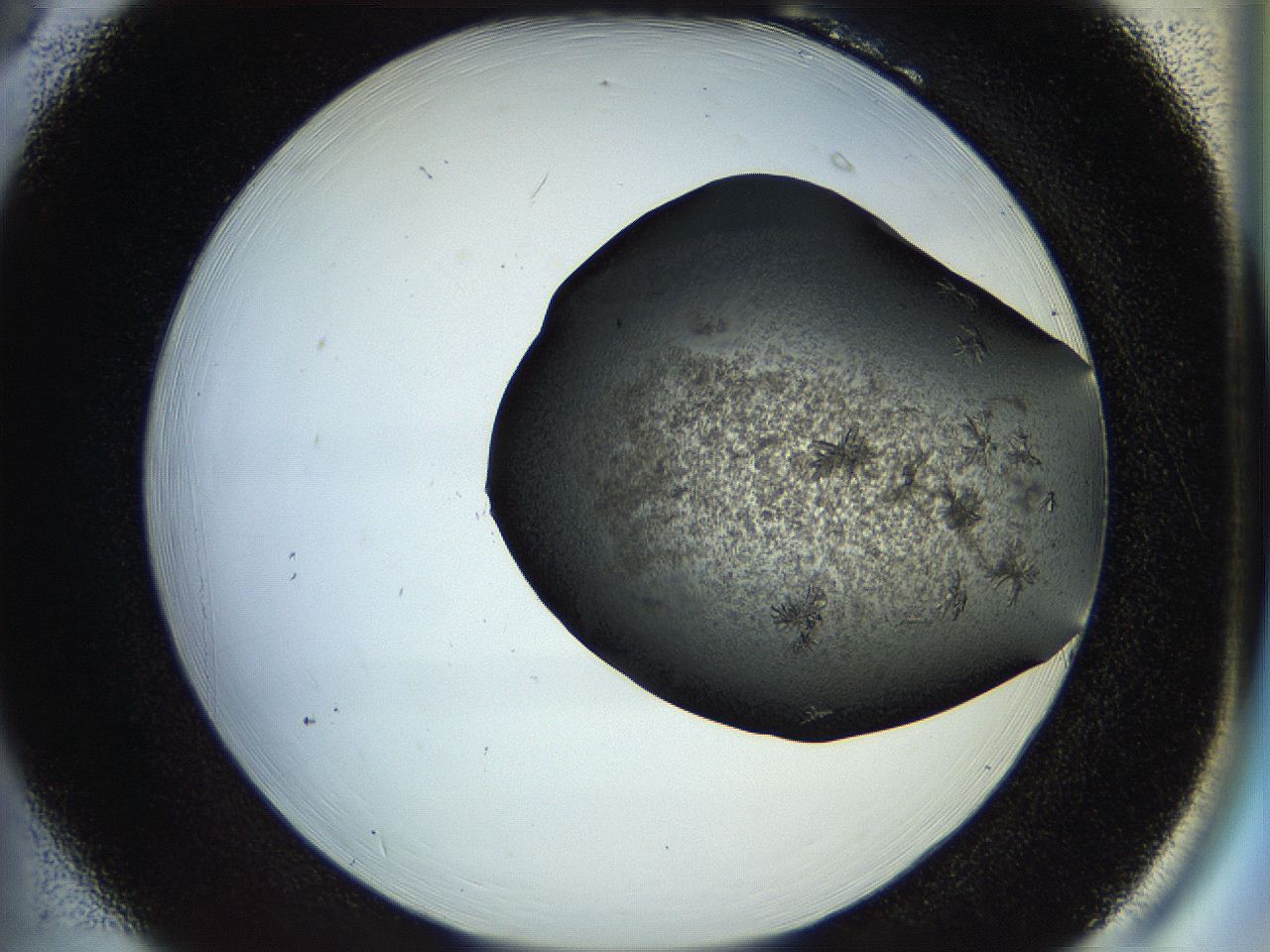 054a_B6_ImagerDefaults_7.jpg