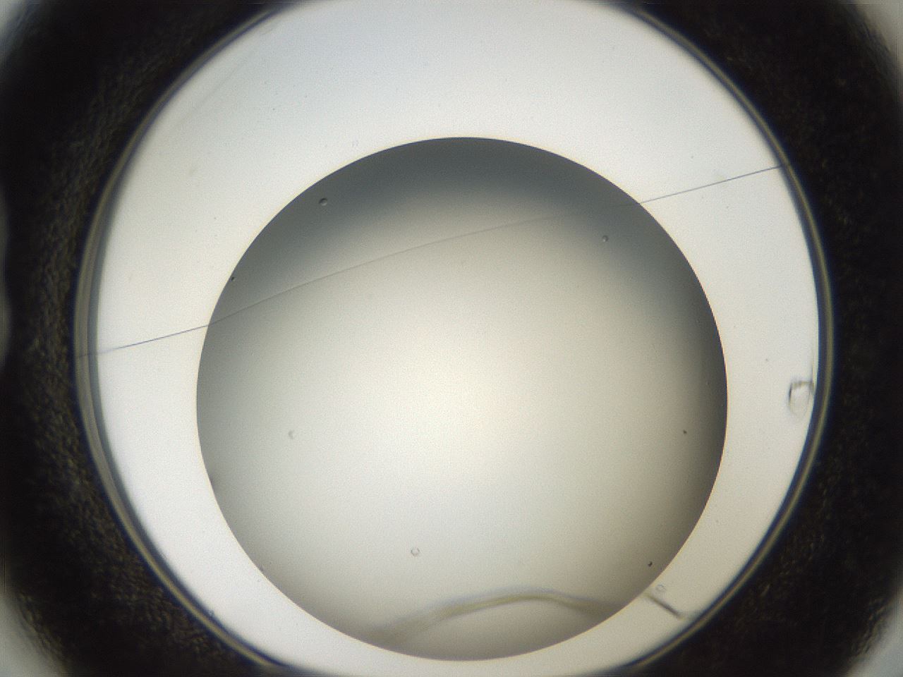 folderID193_plateID3193_batchID17811_wellNum13_profileID1_d1_r276827_ef.jpg
