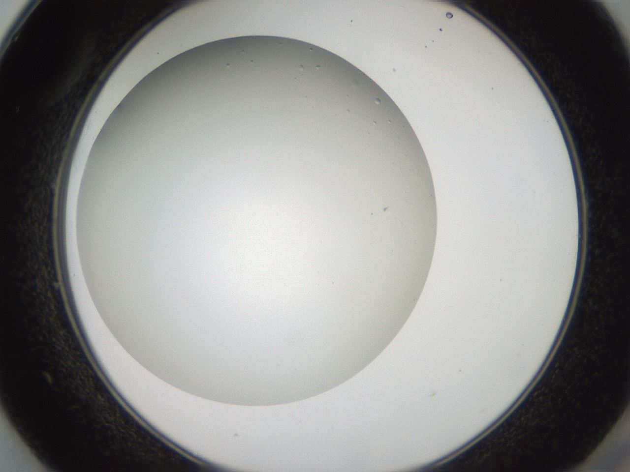 folderID193_plateID3193_batchID17982_wellNum49_profileID1_d2_r276900_ef.jpg