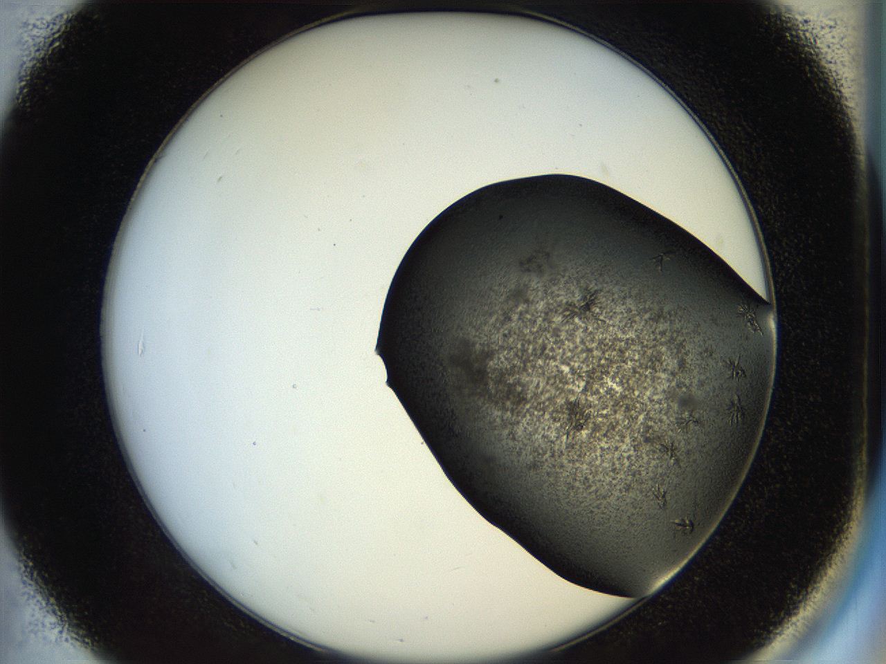 054a_B7_ImagerDefaults_7.jpg