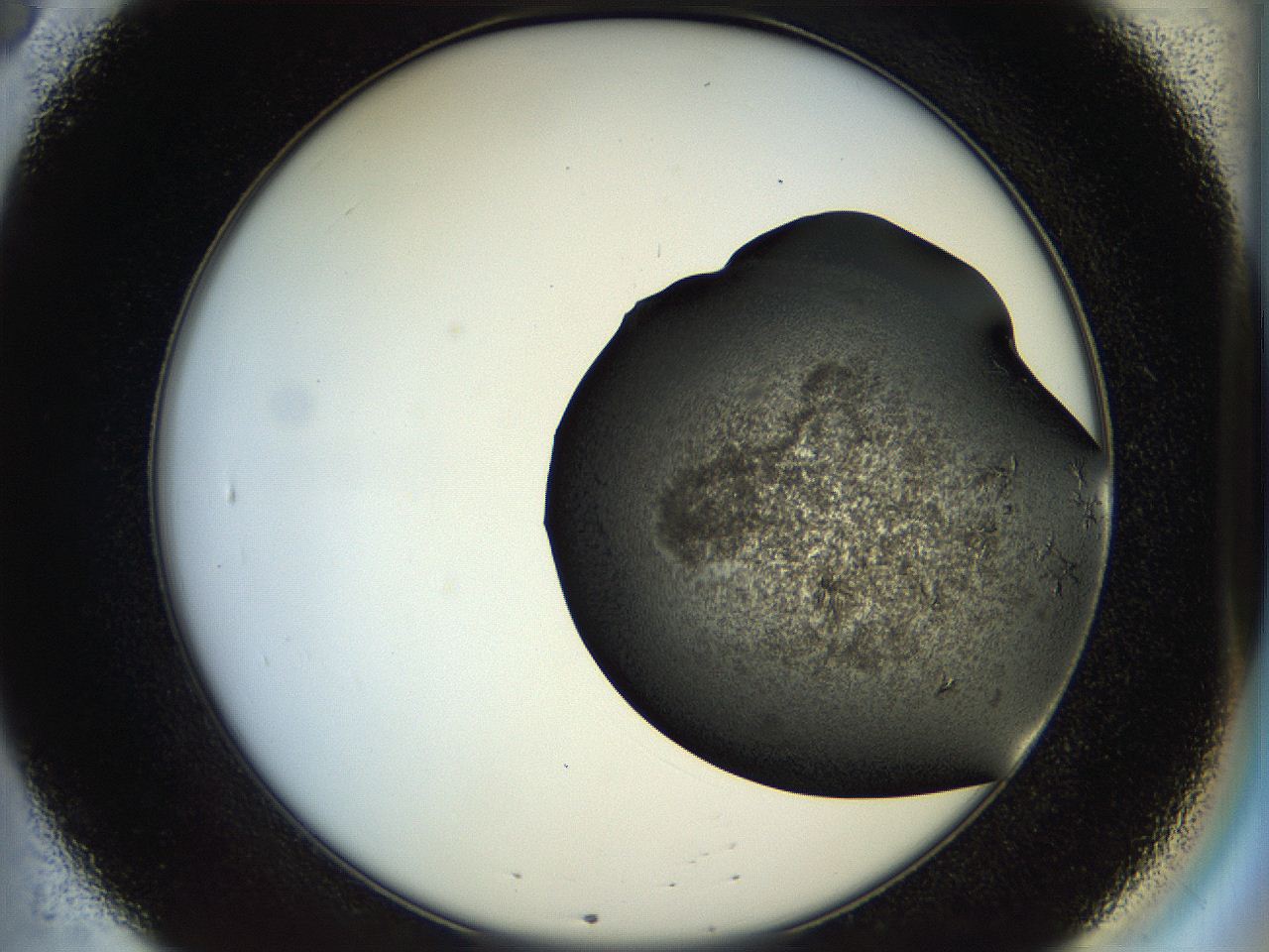 054a_B8_ImagerDefaults_7.jpg