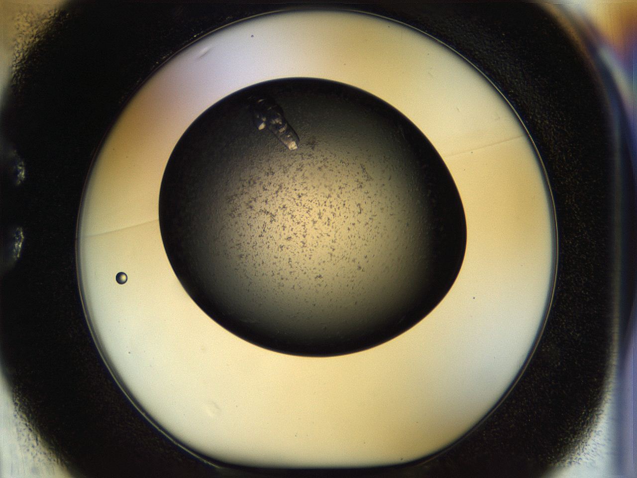 054a_C1_ImagerDefaults_8.jpg