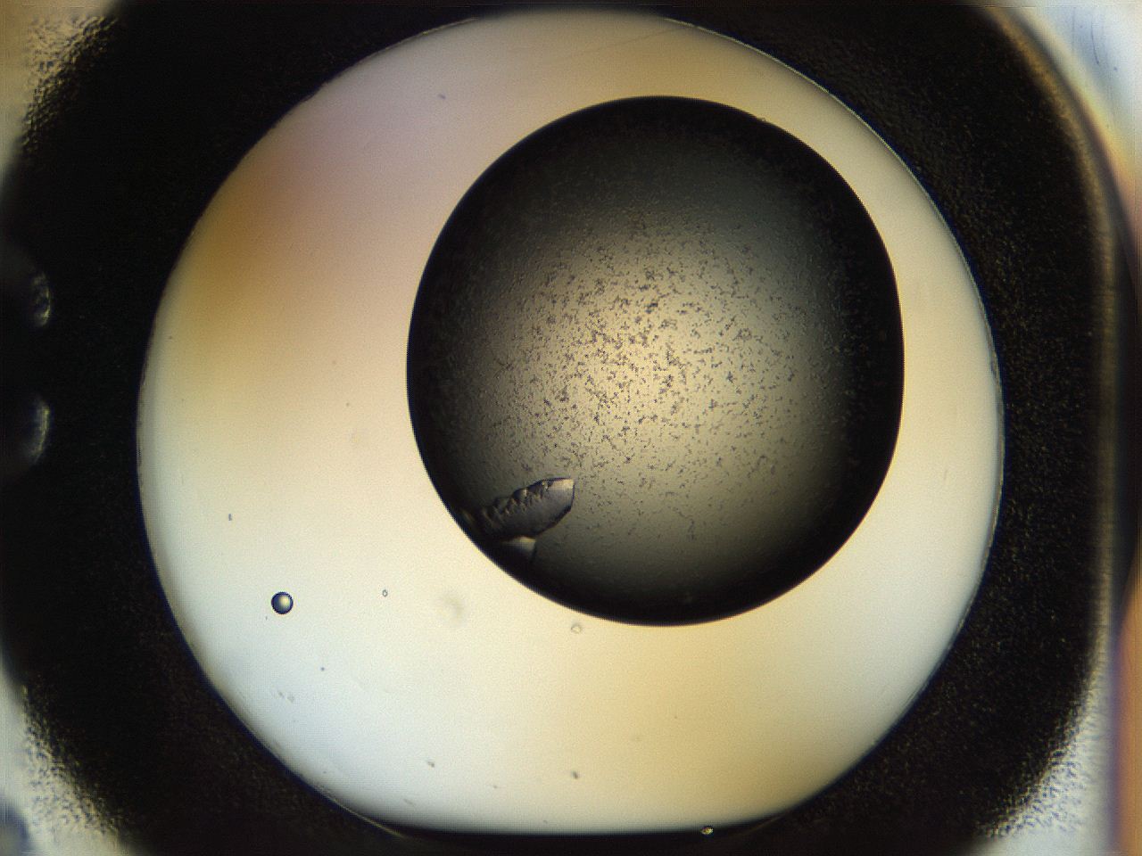 054a_C2_ImagerDefaults_8.jpg