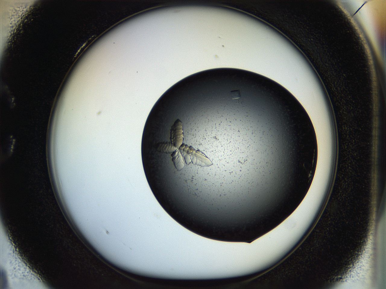 054a_C4_ImagerDefaults_9.jpg