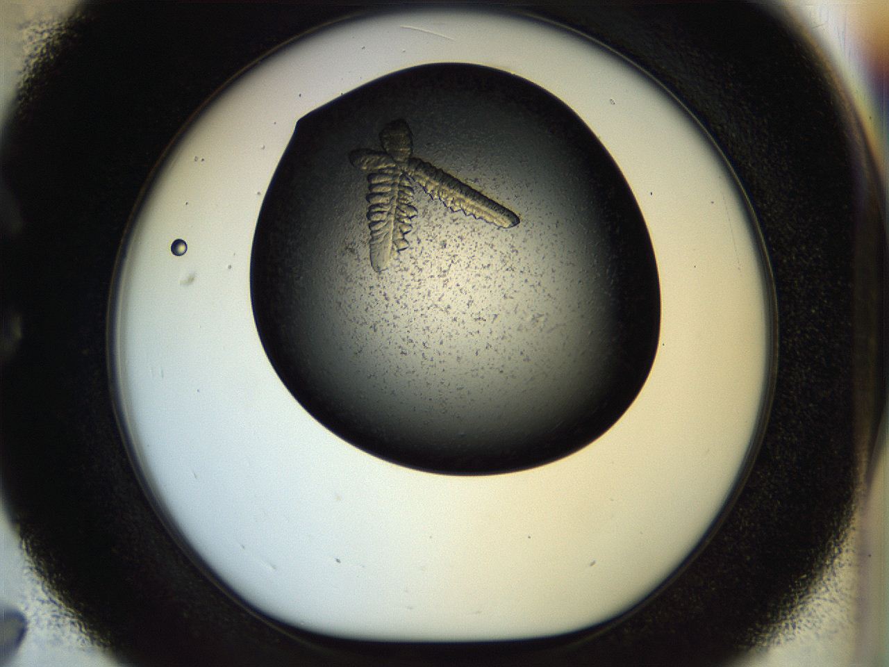 054a_C7_ImagerDefaults_8.jpg