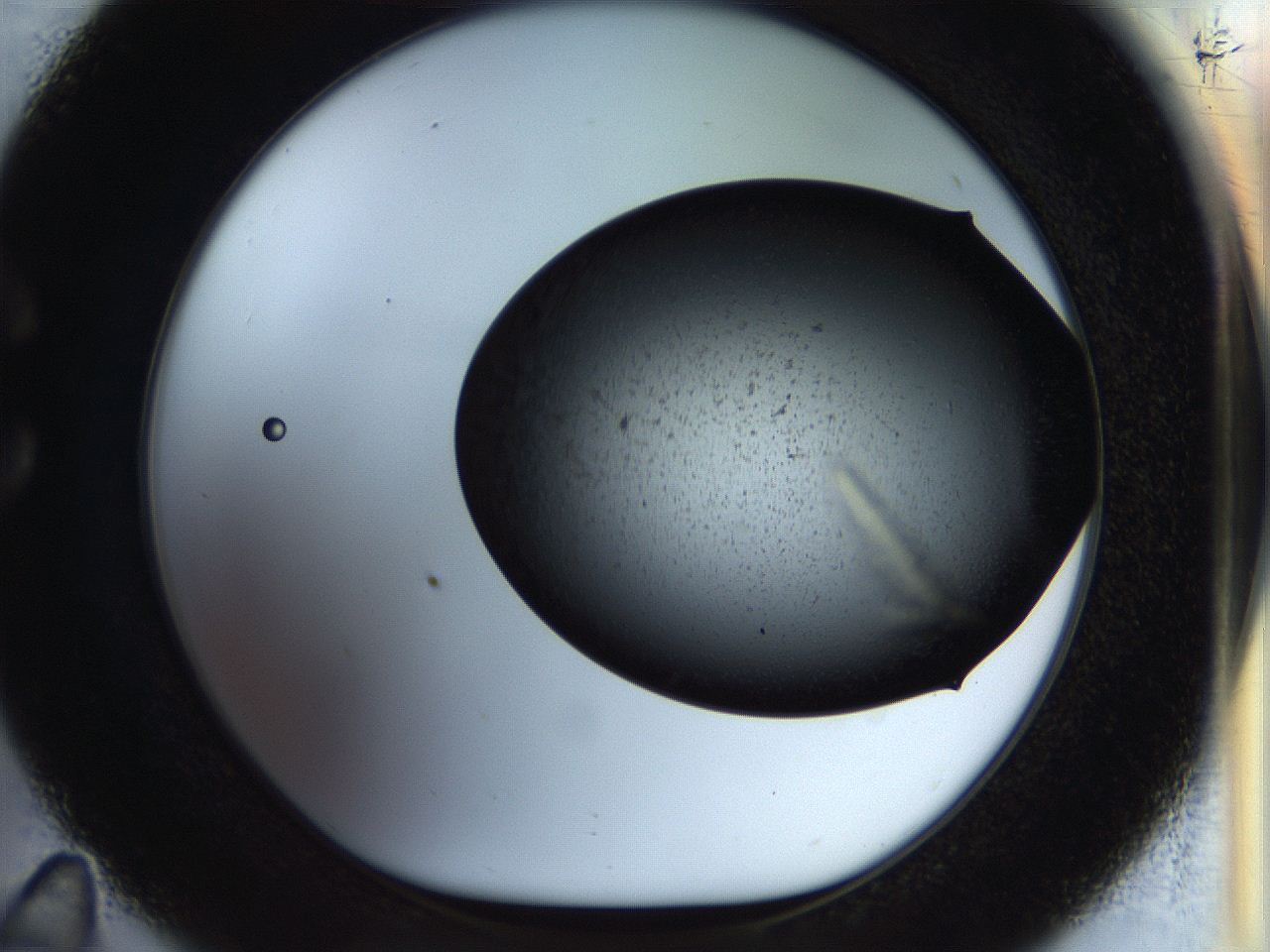 054a_C11_ImagerDefaults_8.jpg