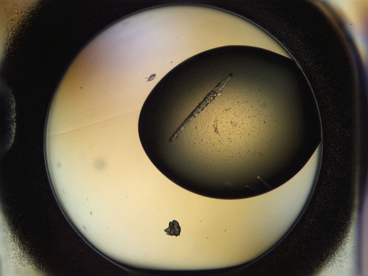 054a_D1_ImagerDefaults_8.jpg