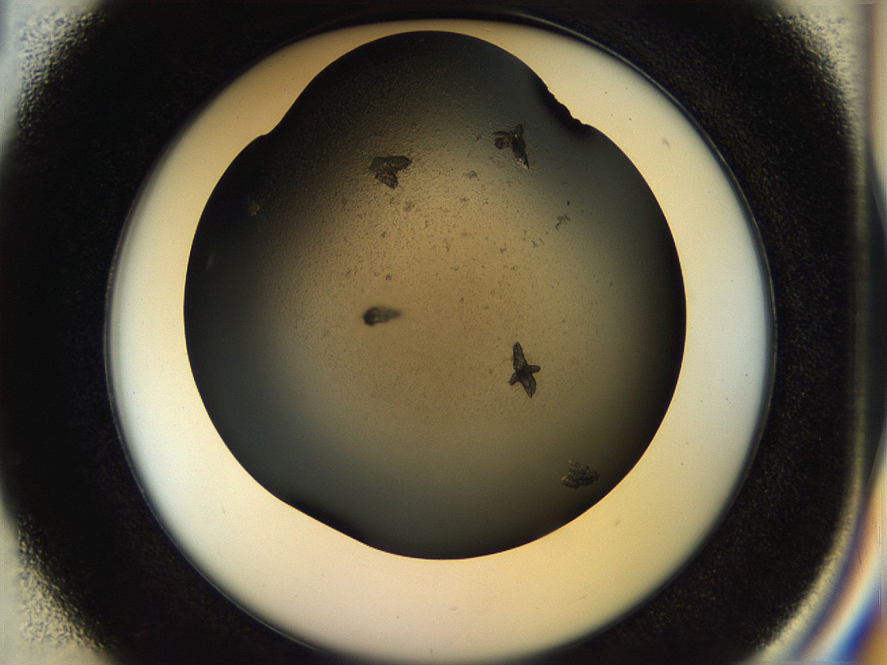 054a_D1_ImagerDefaults_7.jpg