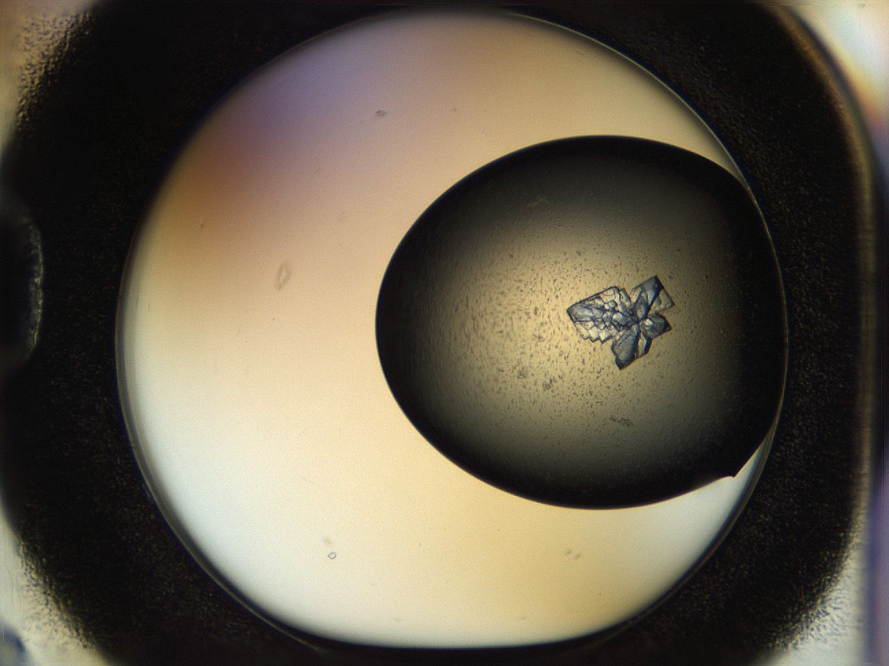 054a_D2_ImagerDefaults_8.jpg