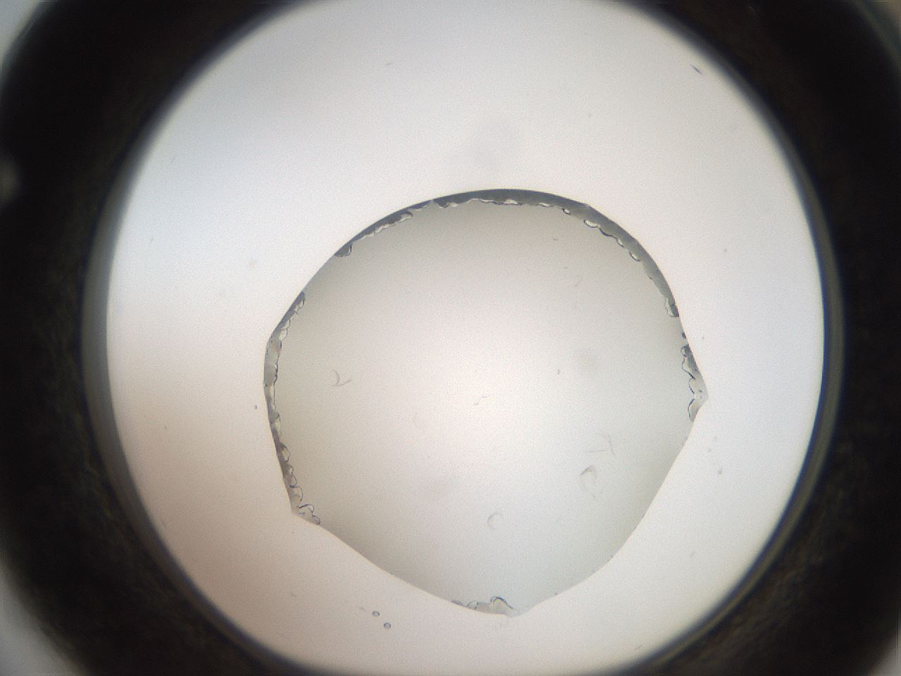 folderID206_plateID2206_batchID10268_wellNum64_profileID1_d1_r149877_ef.jpg