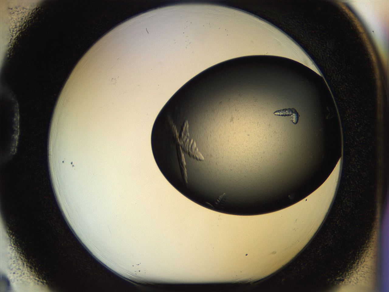 054a_D3_ImagerDefaults_8.jpg