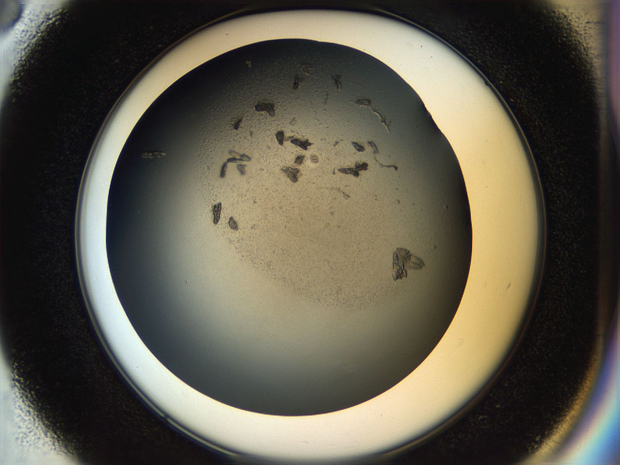 054a_D3_ImagerDefaults_7.jpg
