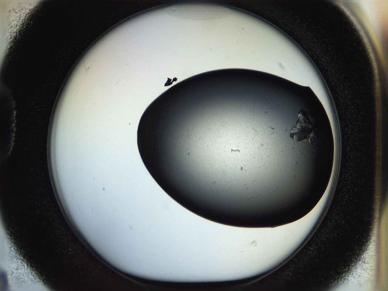 054a_D4_ImagerDefaults_8.jpg