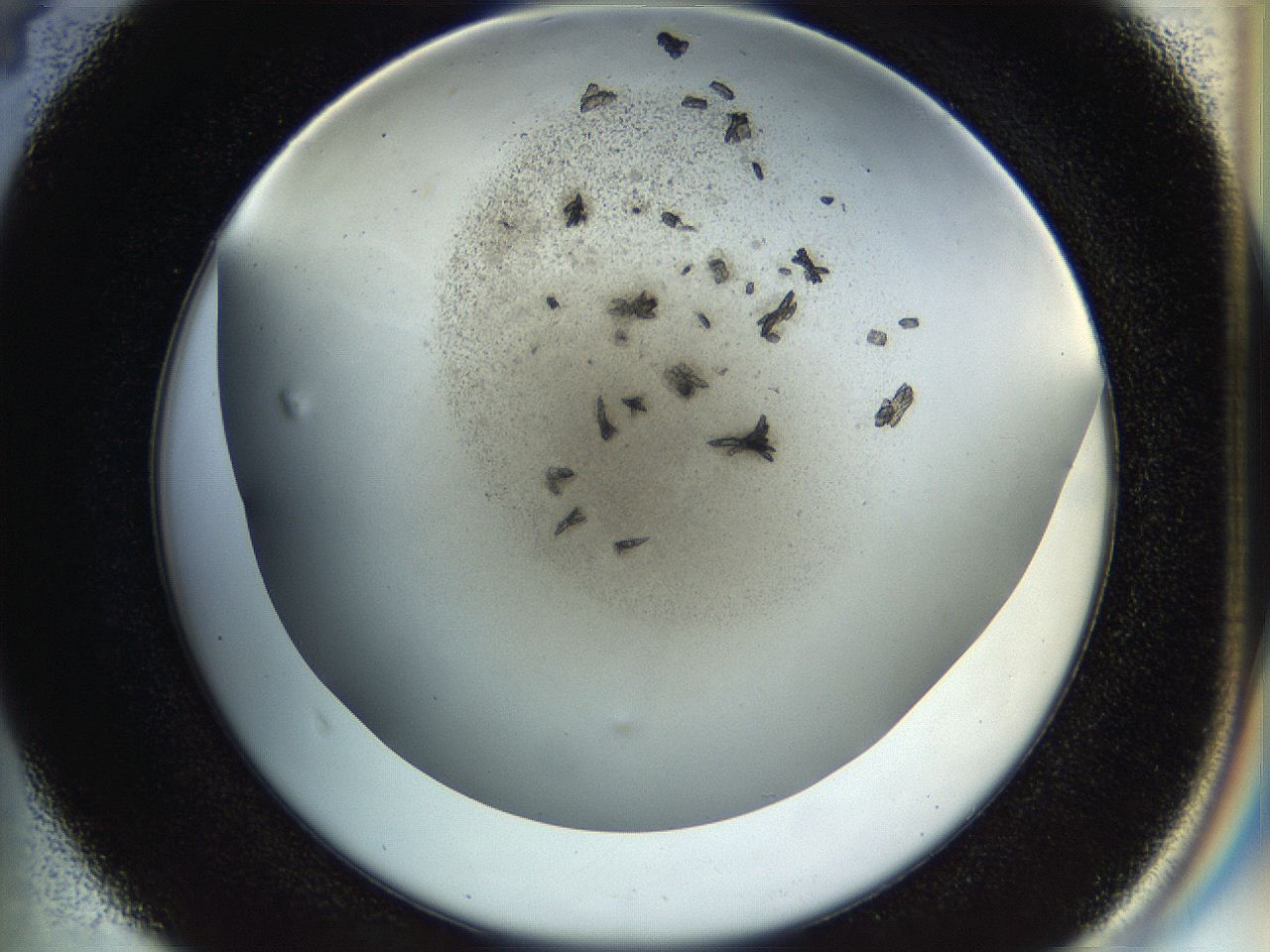 054a_D4_ImagerDefaults_7.jpg