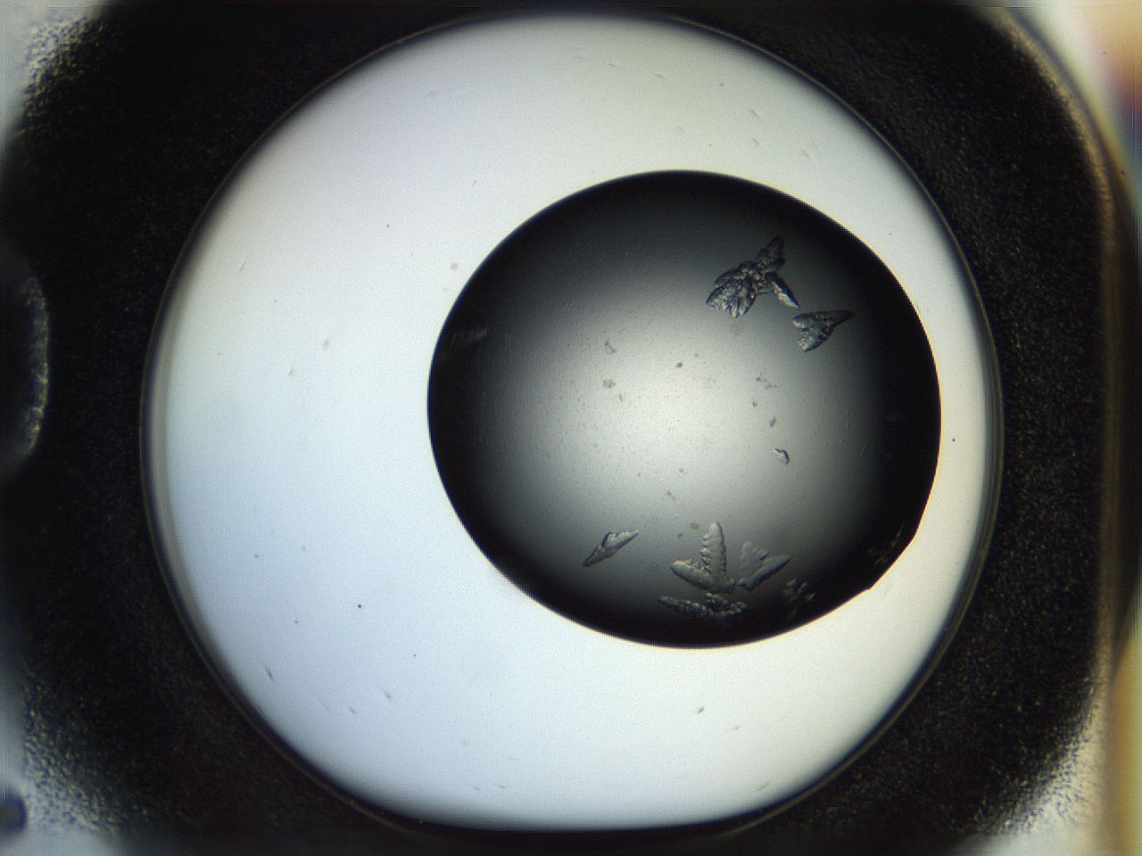 054a_D5_ImagerDefaults_8.jpg