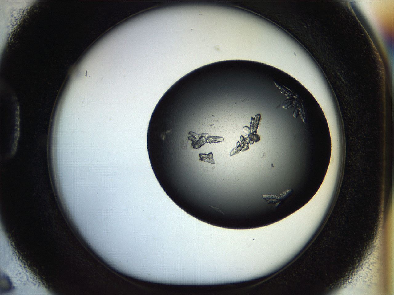 054a_D6_ImagerDefaults_8.jpg