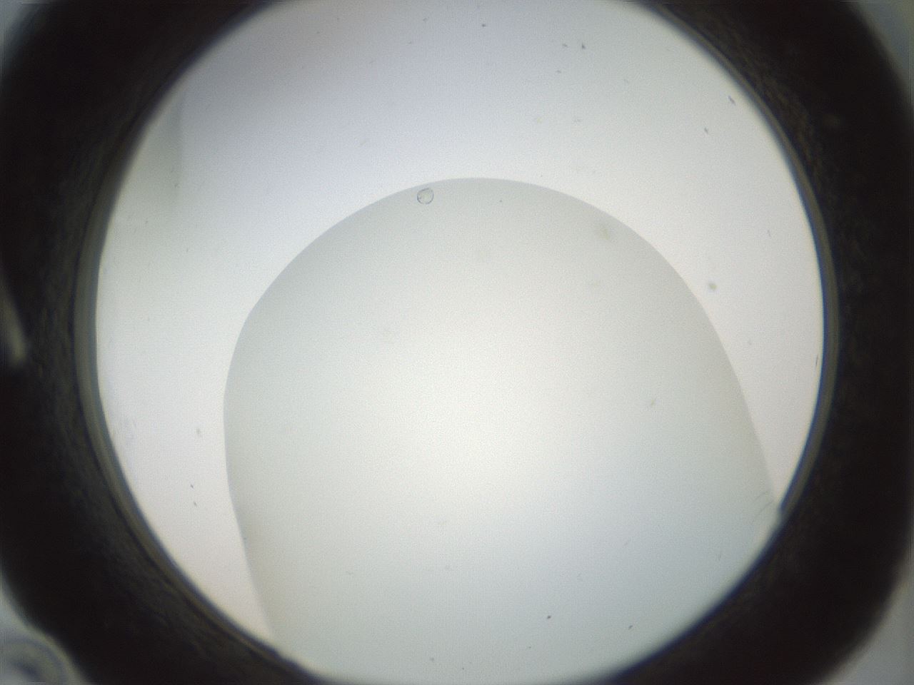 folderID207_plateID1207_batchID3621_wellNum10_profileID1_d1_r67634_ef.jpg